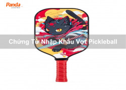 Chứng Từ Nhập Khẩu Vợt Pickleball